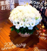 摜(166x180)Eg摜(296x320)